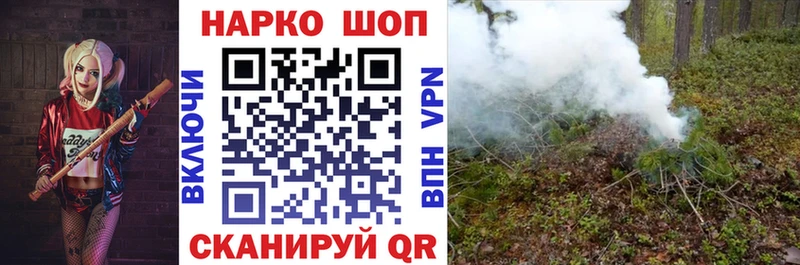 Хочу наркоту Сунжа Псилоцибиновые грибы  Кокаин  Кетамин  Alpha-PVP 