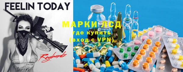молекула духа Осташков