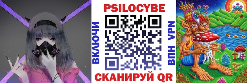 Псилоцибиновые грибы Psilocybine cubensis  Сунжа 