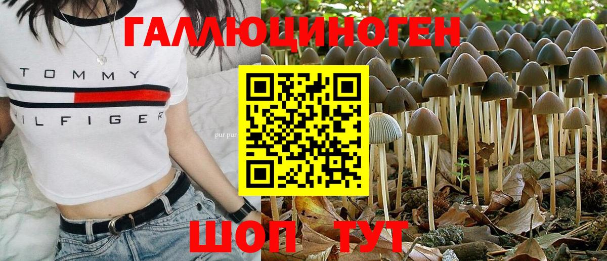 Галлюциногенные грибы Cubensis  Вход с VPN  Псилоцибиновые грибы Psilocybine cubensis  Сунжа 
