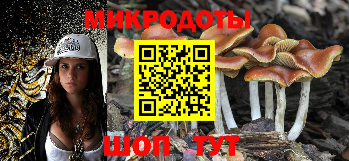 Псилоцибиновые грибы мухоморы Сунжа